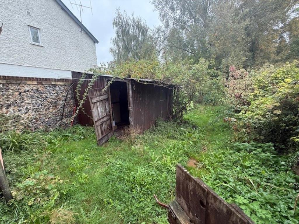 Lot: 115 - A PAIR OF THATCHED COTTAGES IN NEED OF IMPROVEMENT - 50 Abbey Street shot of overgrown garden with shed